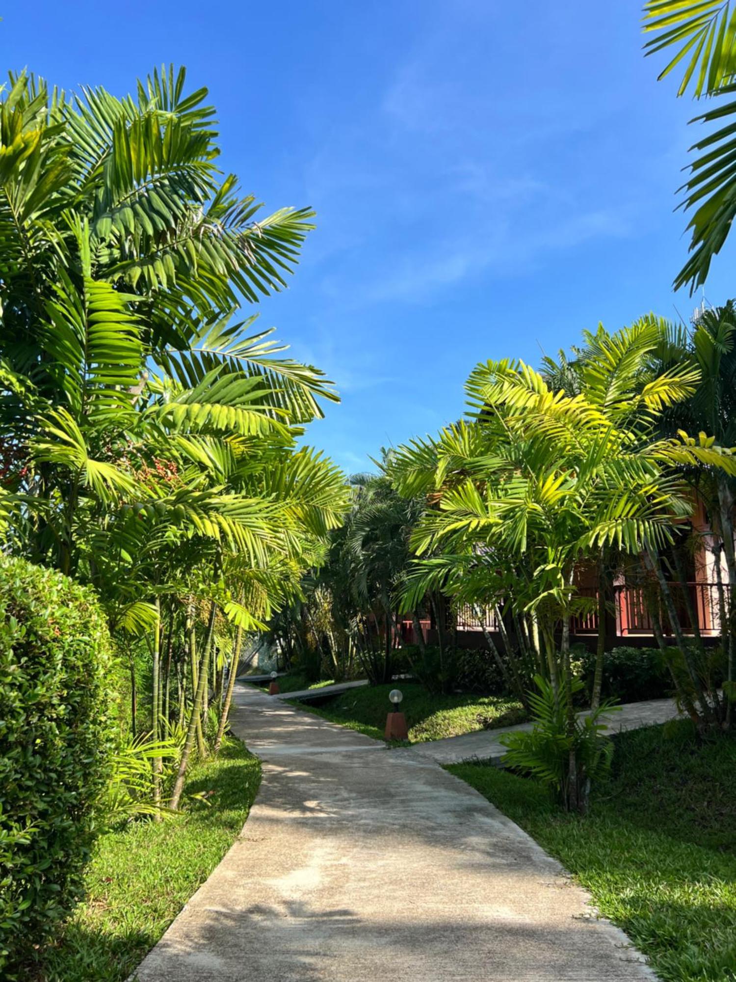 Palm Kiri Aonang Resort Ao Nang Luaran gambar